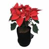 SmartPot 8 System - Image 3